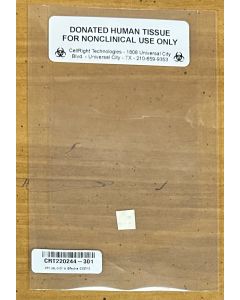 DFLX1010 - ***CASSANDRA GORDON FOR APPROVAL*** DirectGen Flex, 10x10mm (Single) (Limit 5) - (USA ONLY)